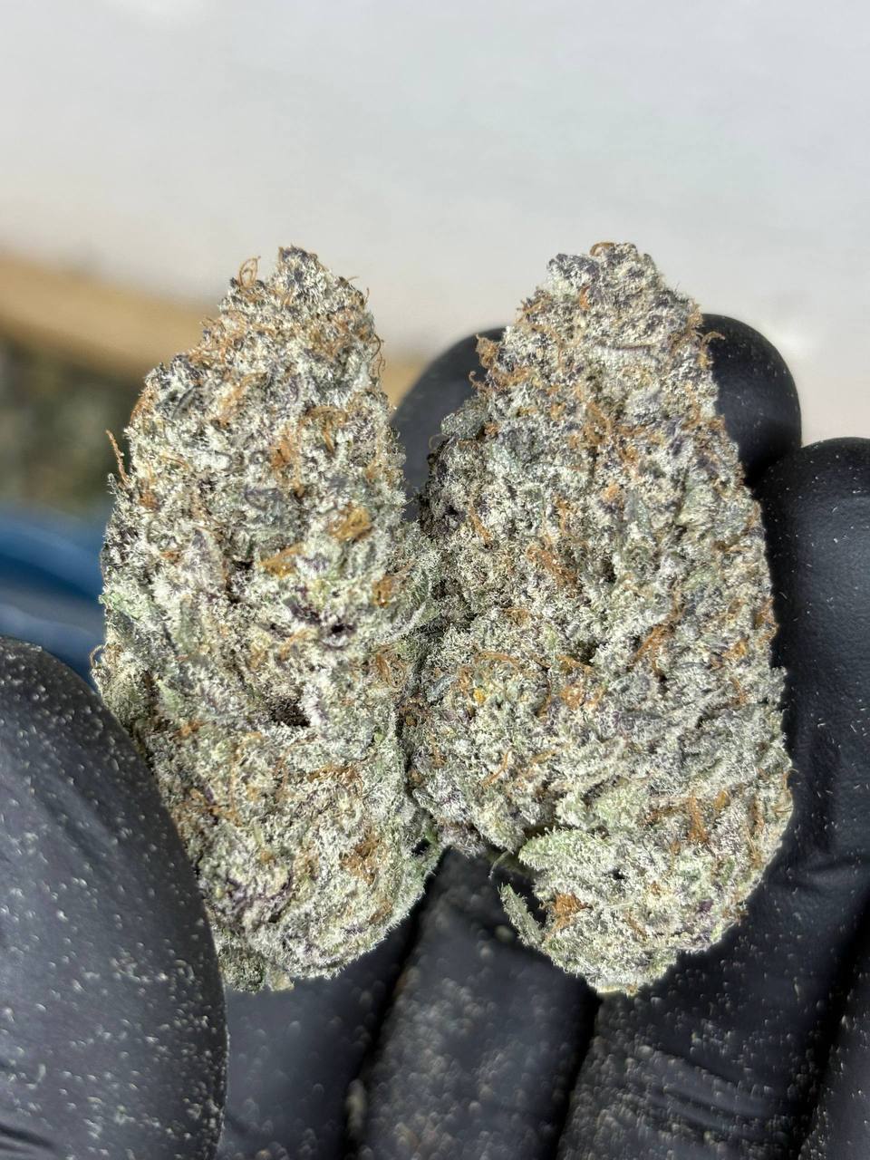 Dense quality buds - nationwide